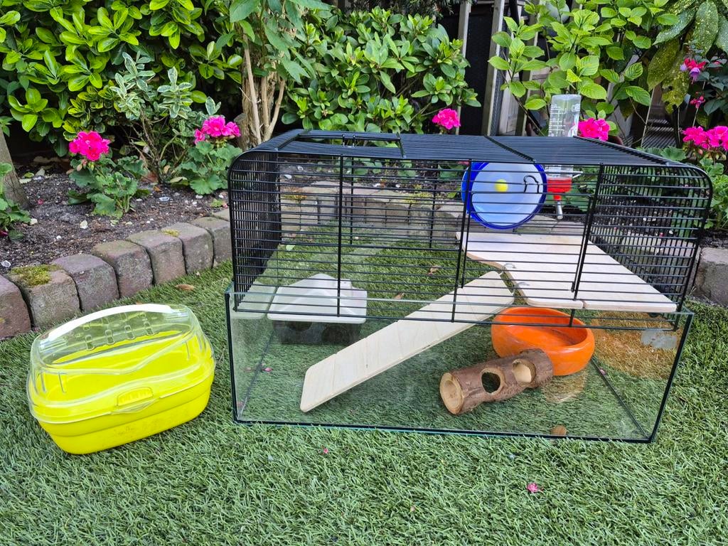 Leuke hamsterkooi te koop, Kooi, Minder dan 75 cm, Zo goed als nieuw, Ophalen