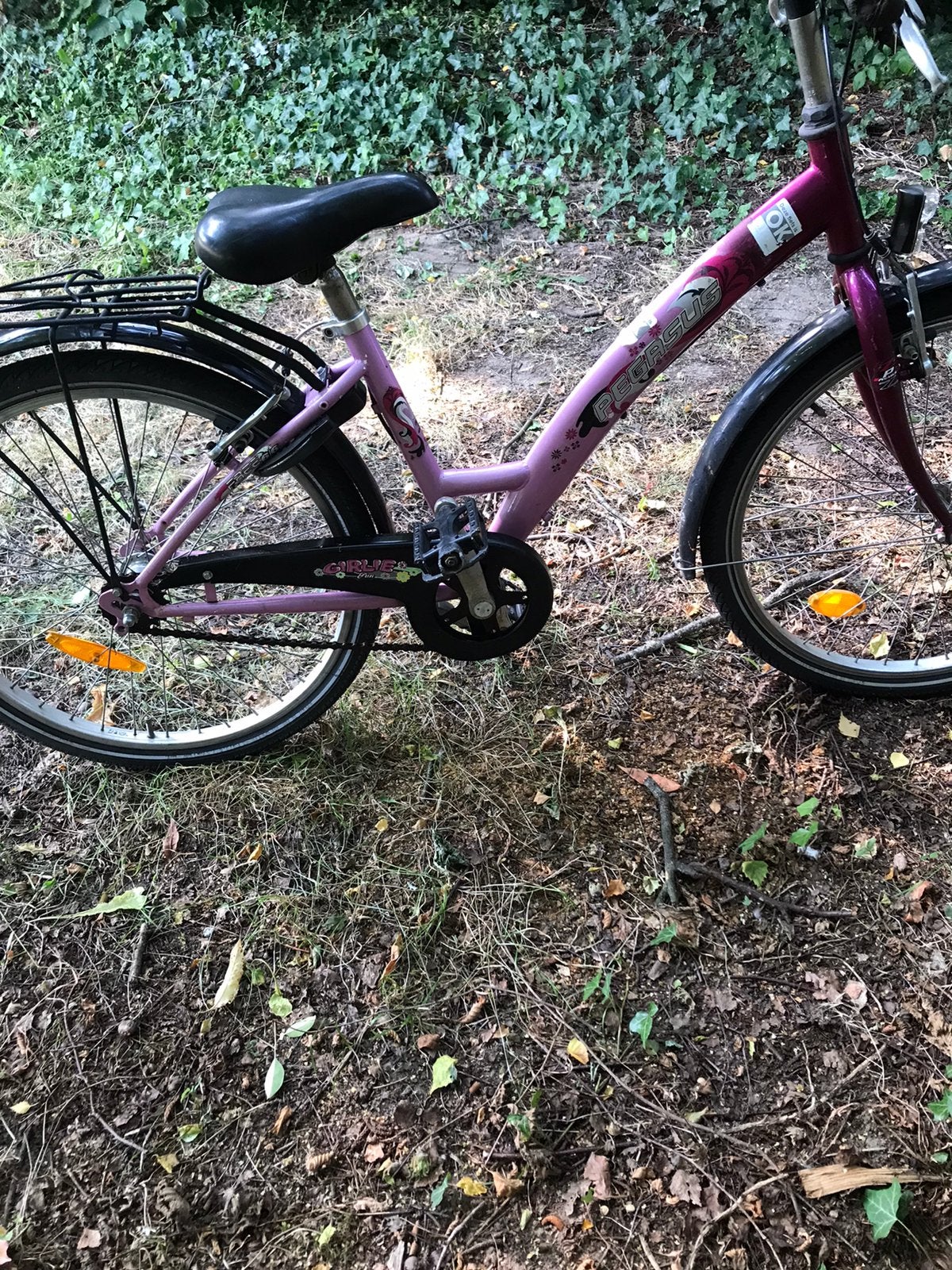 Meisjesfiets, Ophalen, Terugtraprem, Handrem, Gebruikt