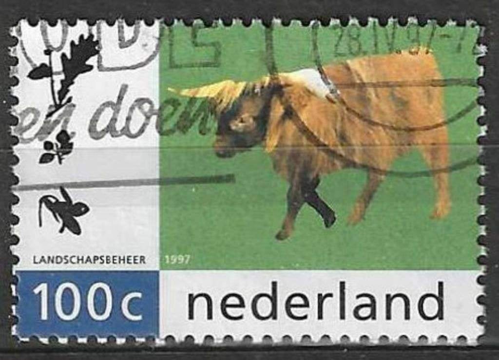 Nederland 1997 - Yvert 1582 - De Schotse Hooglander (ST), Verzenden, Gestempeld