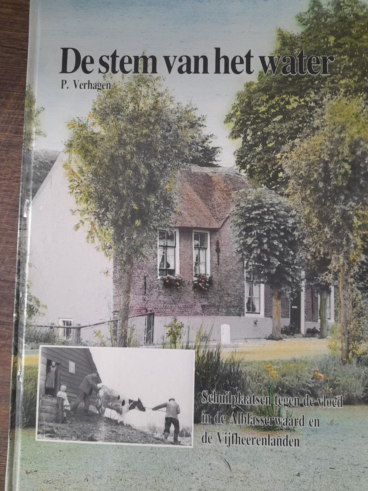 De stem van het water - P. Verhagen, Boeken, Ophalen of Verzenden, Zo goed als nieuw