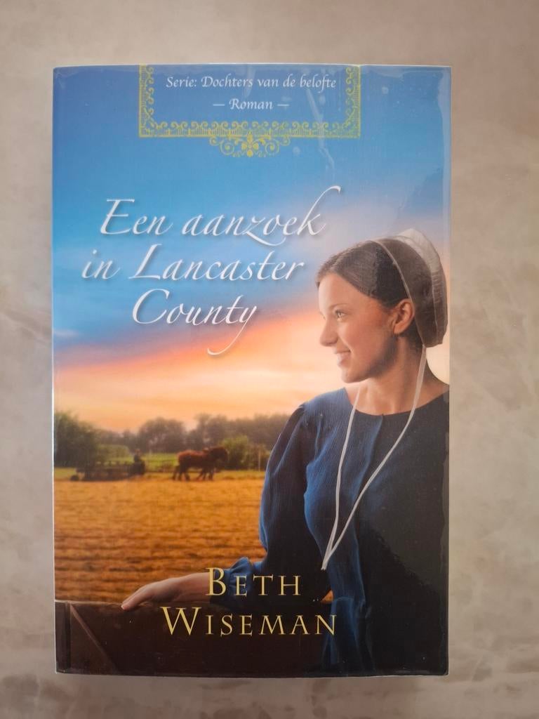 Een aanzoek in Lancaster County - Beth Wiseman (roman), Boeken, Ophalen of Verzenden, Zo goed als nieuw, Beth Wiseman, Nederland