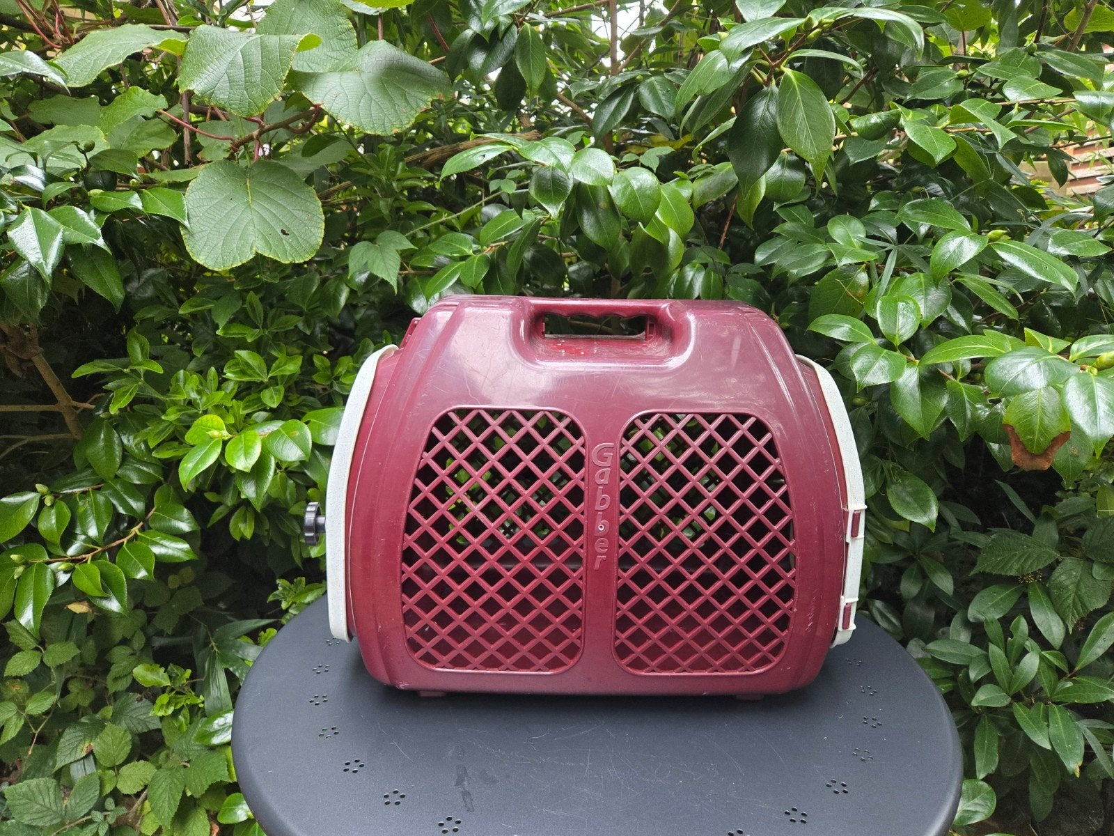 Gabber Globe Pet Carrier, Dieren en Toebehoren, Ophalen of Verzenden, Gebruikt