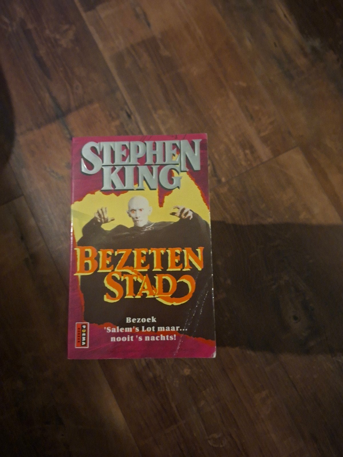 Stephen King - Bezeten Stad (Salem's Lot), Ophalen of Verzenden, Gelezen, Stephen King, Wereld overig