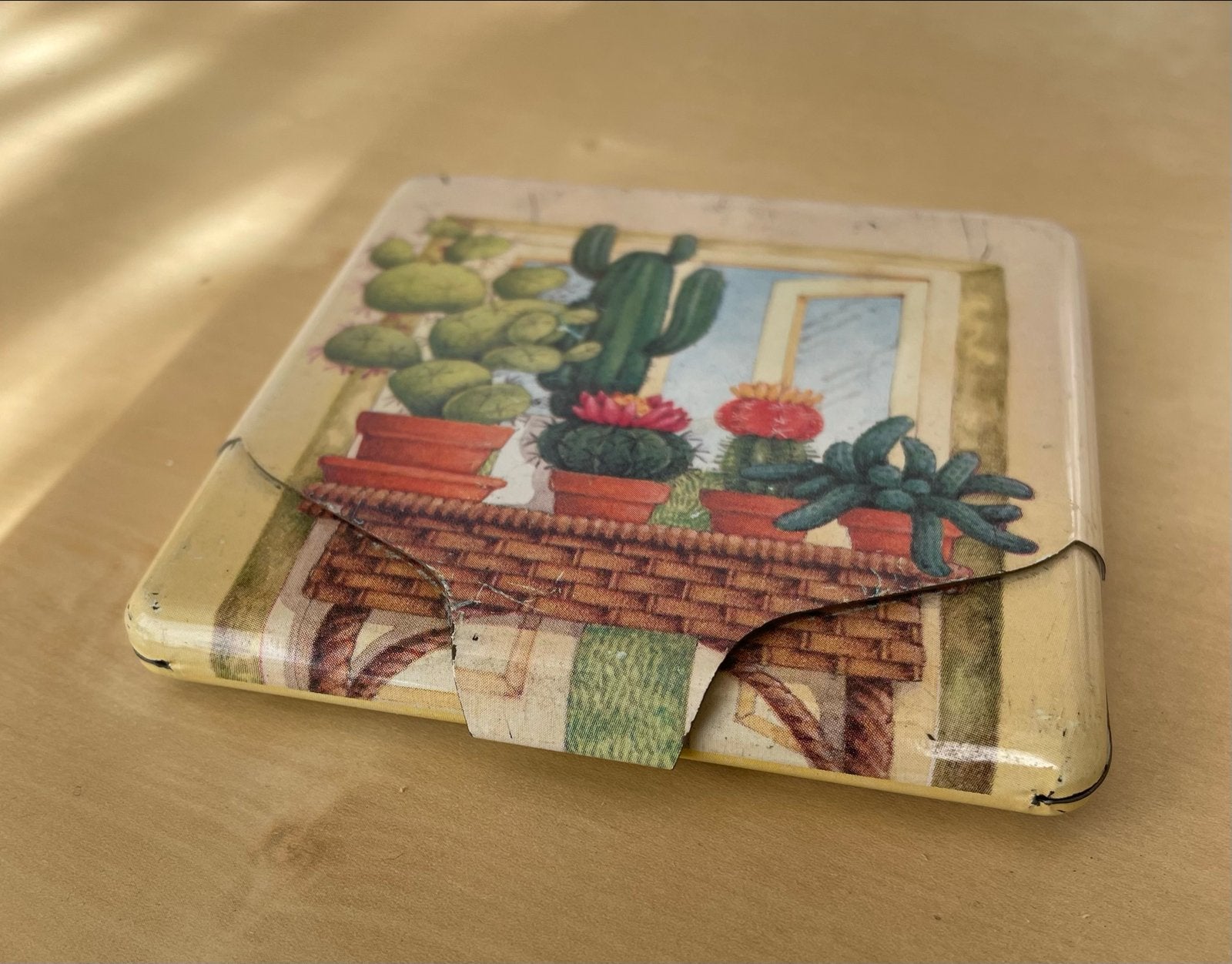 Vintage doosje met cactusboekje, Ophalen of Verzenden, Overige typen