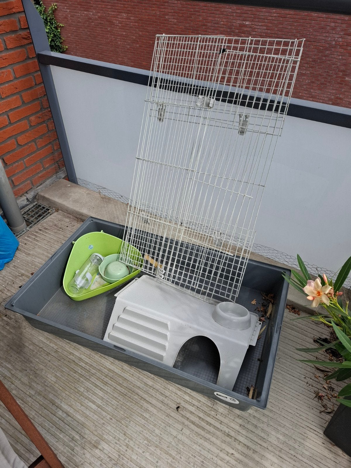 konijnen binnenkooi, Ophalen, Hok, Minder dan 60 cm