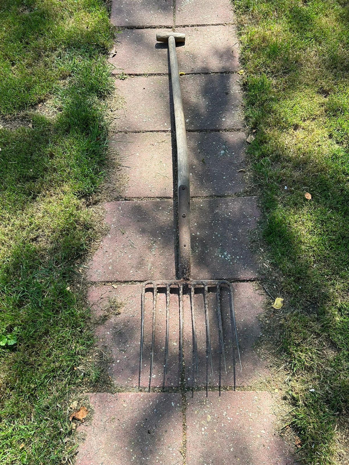 Mest- mais- tuinafvalvork. 8 tands met steel. Lengte 1,40 m, Ophalen, Gebruikt, Vork