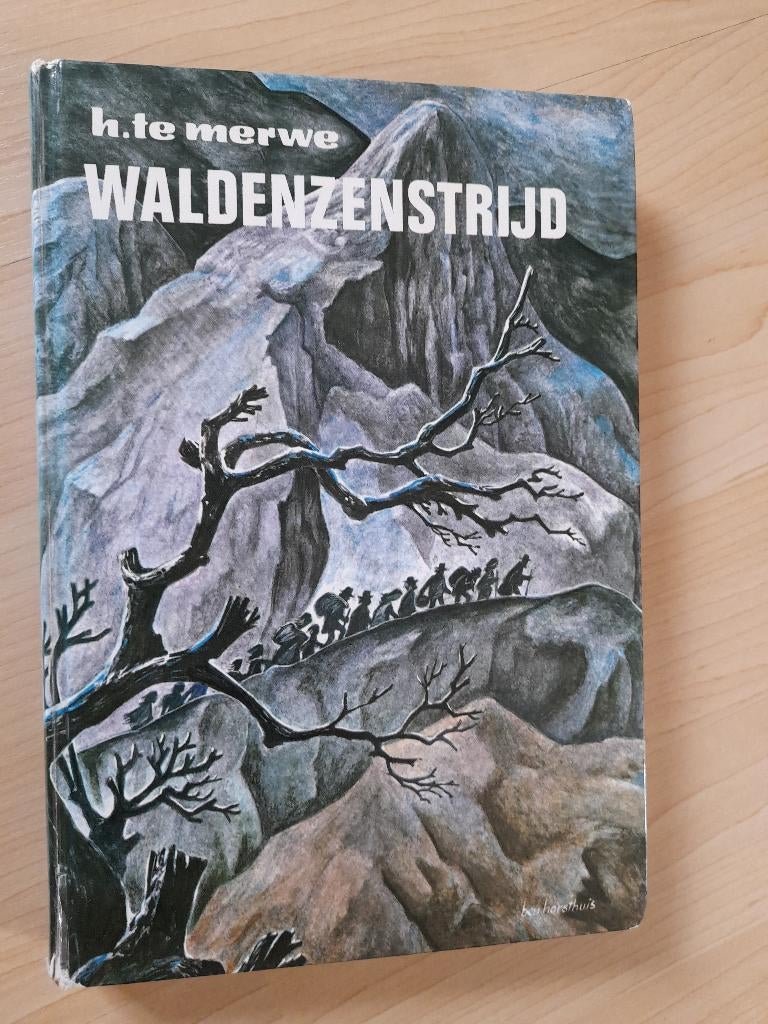 WALDENZENSTRIJD  H te Merwe, Boeken, Ophalen of Verzenden, Gelezen