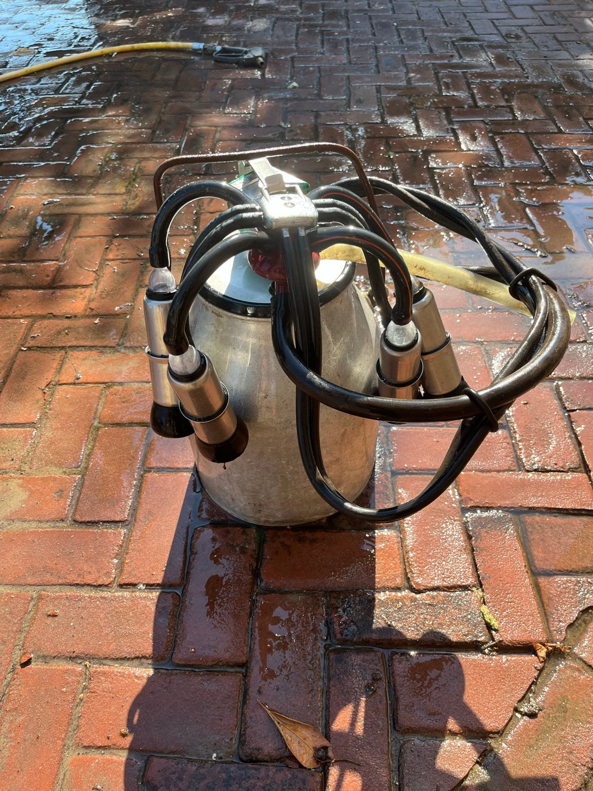 Ouderwetse Koeienmelker - Vintage Melkmachine, Ophalen