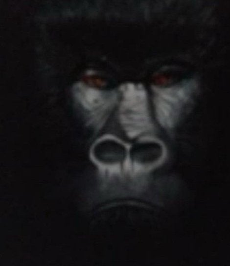Gorilla, Ophalen of Verzenden