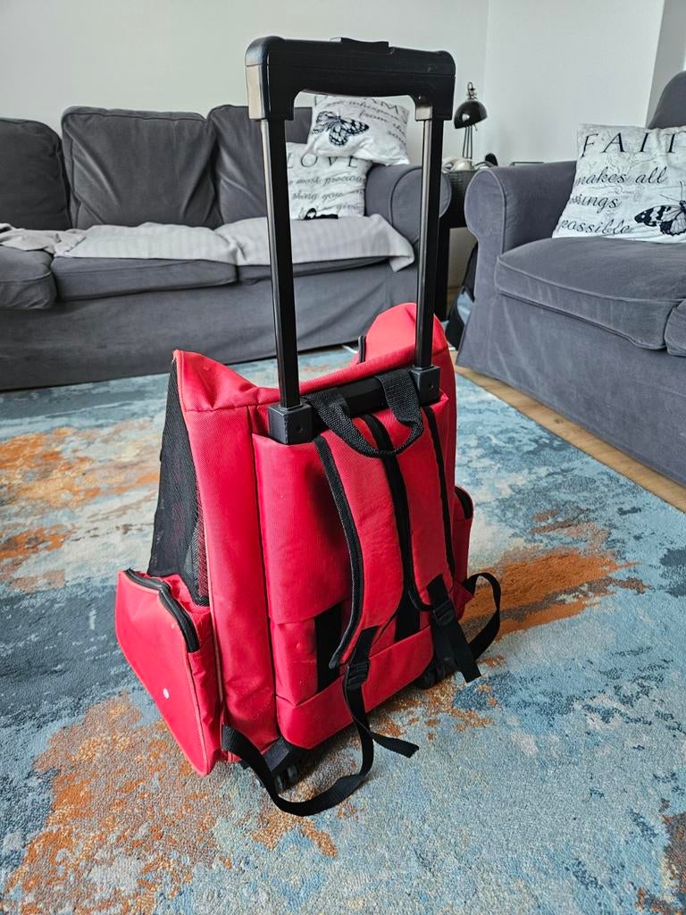 Puppy Trolley, Ophalen, Nieuw