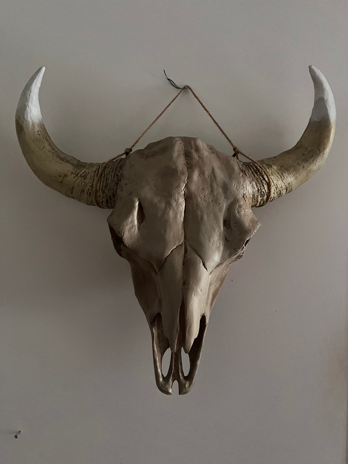 Skull  Buffel   VT wonen, Verzamelen, Dierenverzamelingen, Ophalen, Zo goed als nieuw, Paard, Beeldje of Figuurtje