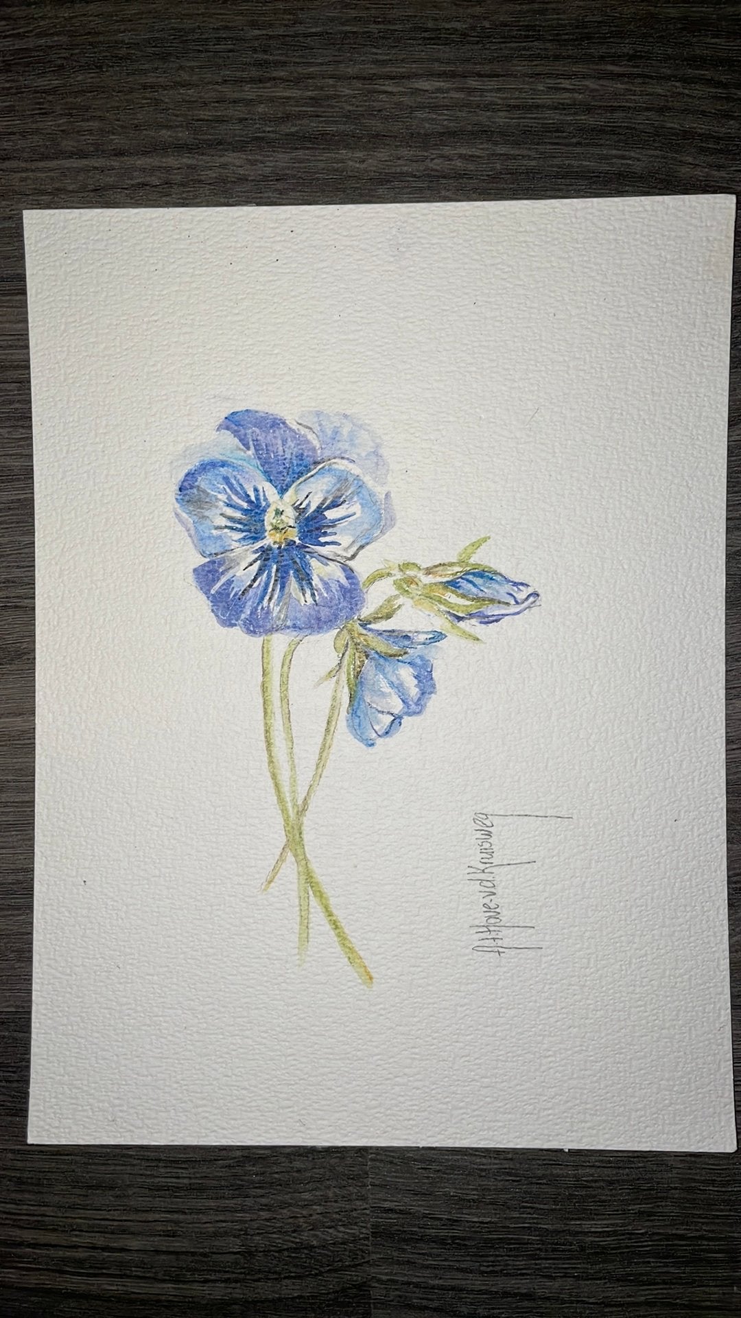 Aquarel tekening viool, Ophalen of Verzenden, Aquarel