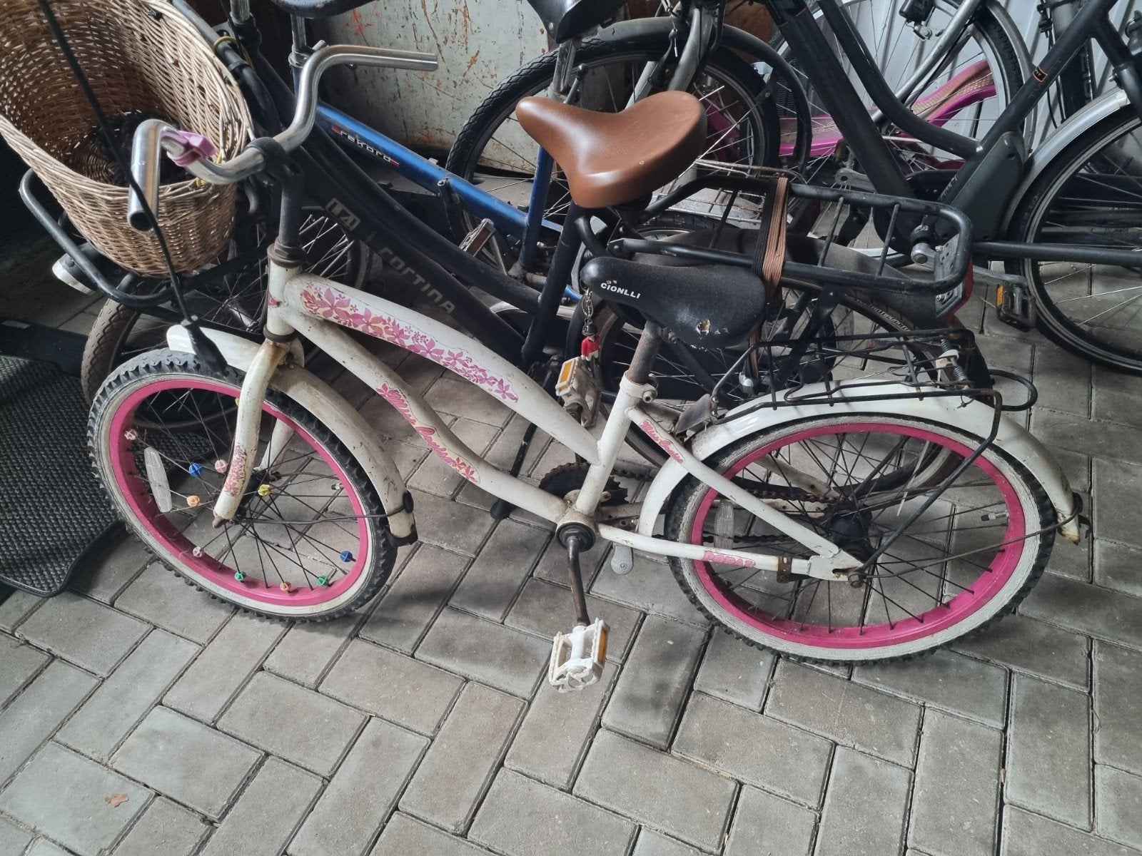 Diverse fietsen: giant, cortina en van speijk, Ophalen, Gebruikt, Overige merken