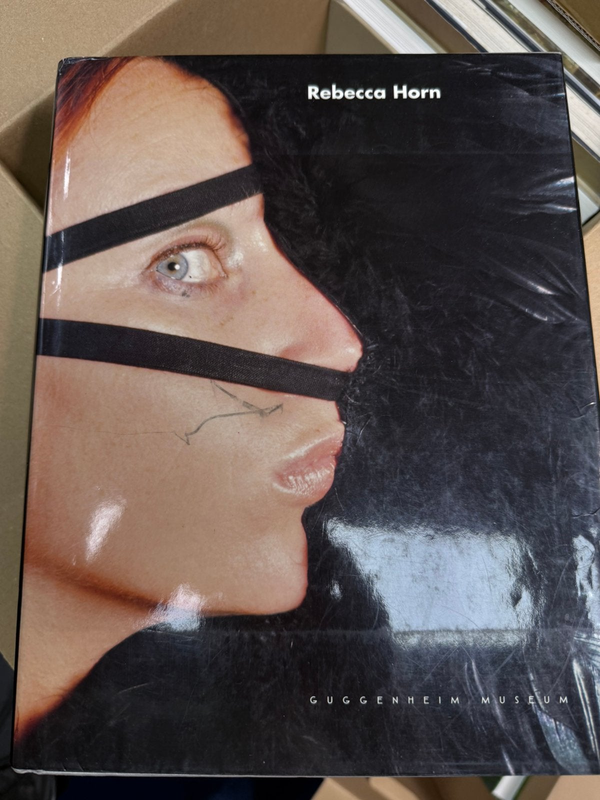 Rebecca Horn catalogus Guggenheim, Ophalen of Verzenden, Gelezen, Beeldhouwkunst