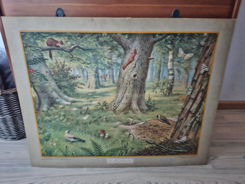 schoolplaat, Antiek en Kunst, Ophalen, Natuur en Biologie