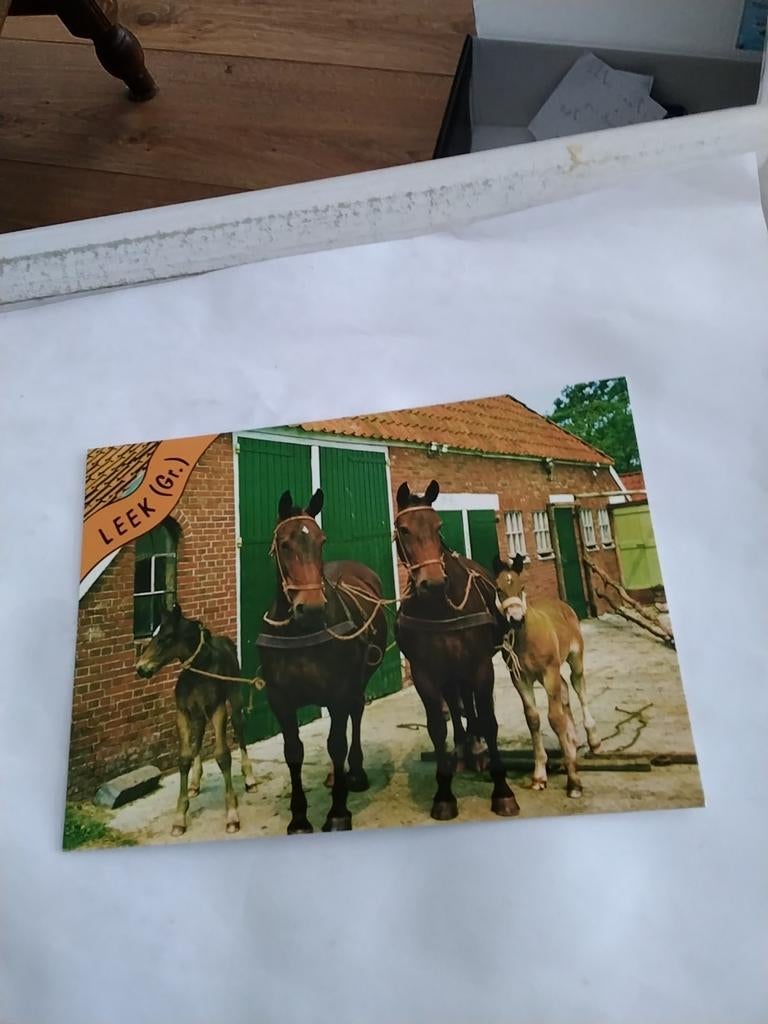 LEEK. (GR.)   PAARDEN, Ophalen of Verzenden, Groningen
