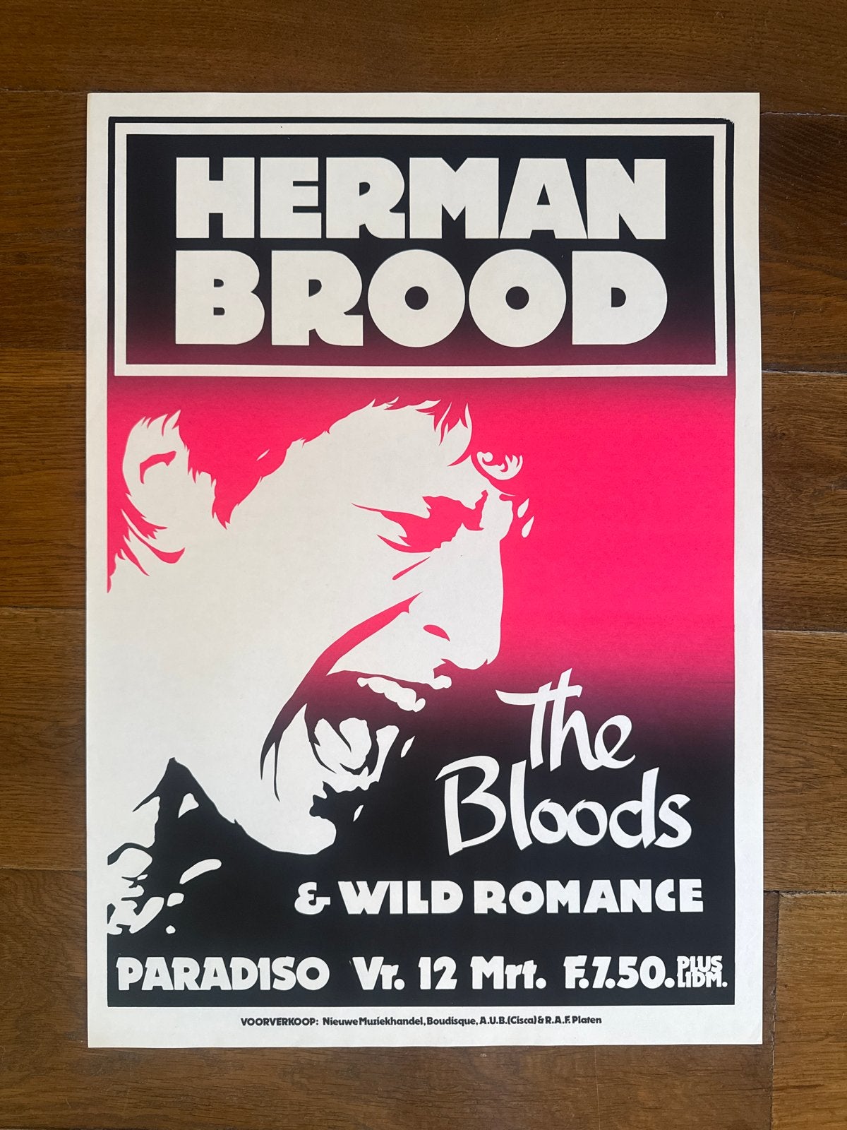 Herman Brood & The Bloods Paradiso Poster - Martin Kaye, Verzamelen, Posters, Rechthoekig Staand, Nieuw, Ophalen of Verzenden
