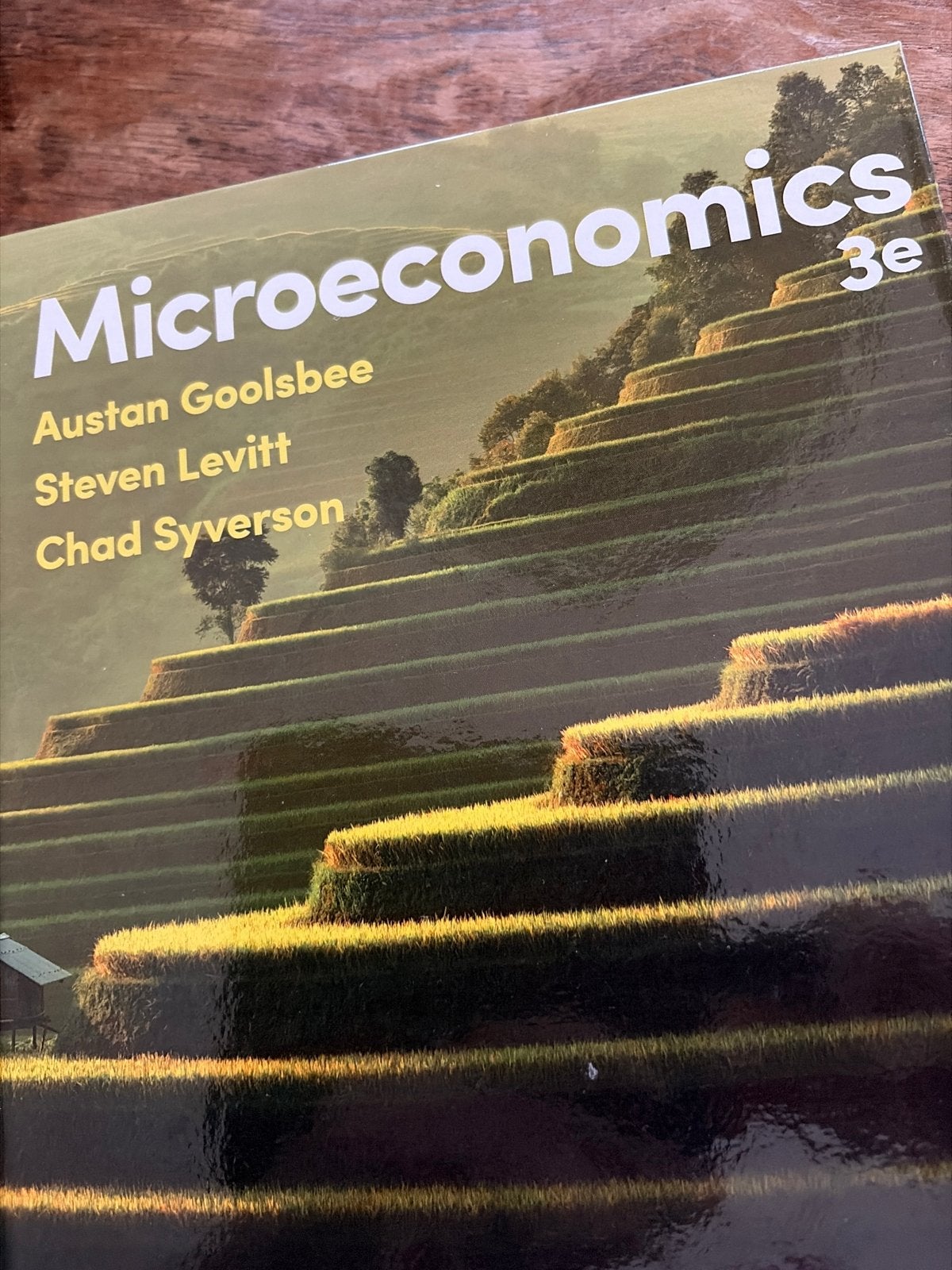 Microeconomics 3e - Goolsbee, Levitt, Syverson, Ophalen of Verzenden, Gamma, Zo goed als nieuw, WO