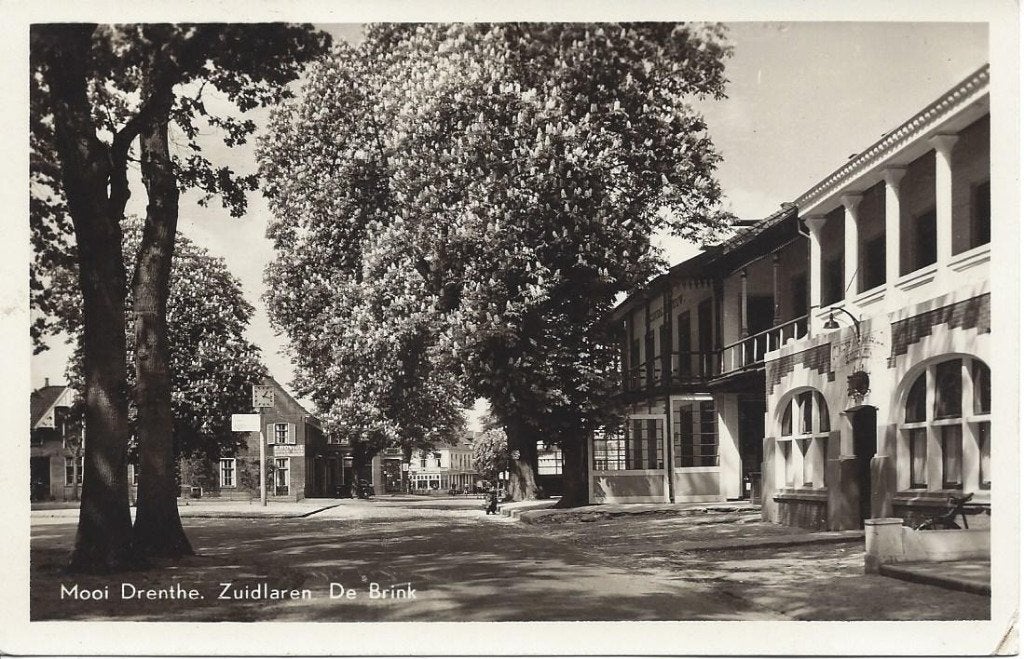 Zuidlaren, Mooi Drenthe, De Brink, gelopen 1956, Ophalen of Verzenden, 1940 tot 1960, Gelopen, Drenthe
