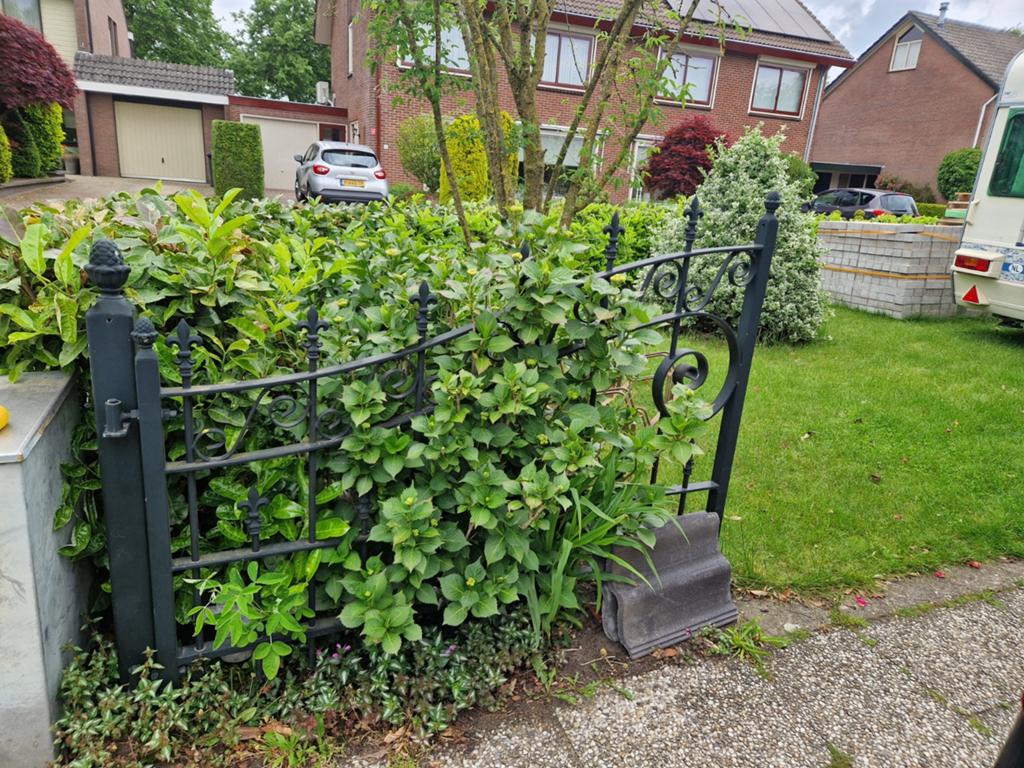 Sierhekwerk, Tuin en Terras, Tuinhekken en Hekwerk, Ophalen, Gebruikt, IJzer, Sierhekwerk