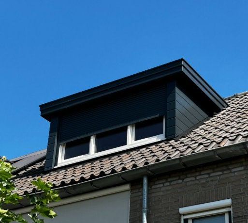 Ecologisch Onderzoek Dakkapel Dakrenovatie Vergunning, Diensten en Vakmensen, Komt aan huis