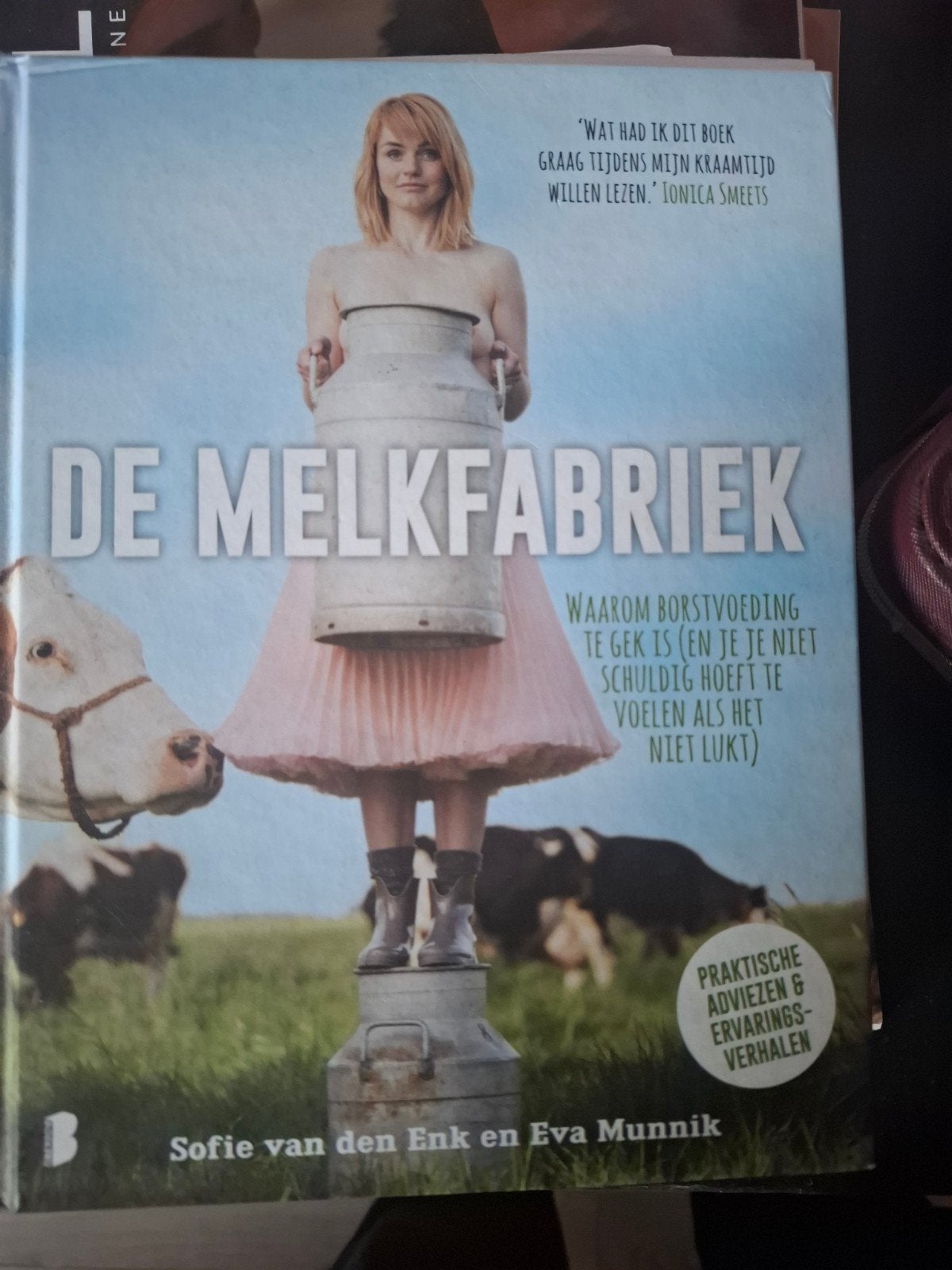 De Melkfabriek: Borstvoeding advies en ervaringen, Ophalen of Verzenden, Zo goed als nieuw, Zwangerschap en Bevalling, Sofie van den Enk en Eva Munnik