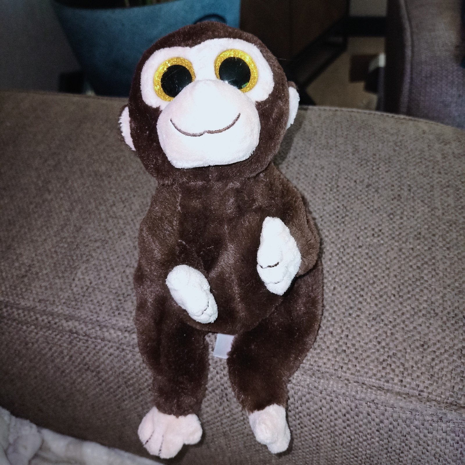 Ty beanie boo babies bellies, matteo de aap, 2023, Kinderen en Baby's, Speelgoed | Knuffels en Pluche, Gebruikt, Wasbaar, Ophalen of Verzenden