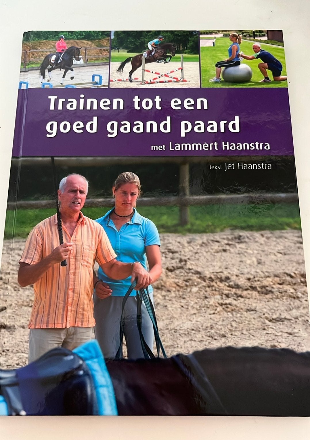 Trainen tot een goed gaand paard- Lammert Haanstra, Boeken, Ophalen of Verzenden, Zo goed als nieuw, Balsport