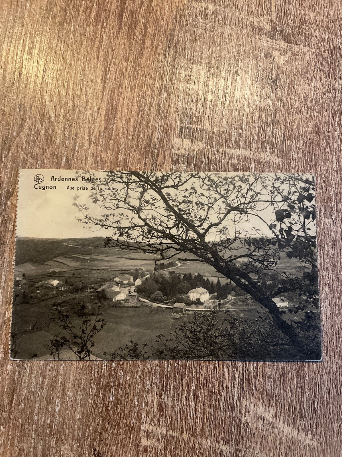 Oude Postkaart: Ardennes Belges, Cugnon, Vue prise de la roc, Ophalen of Verzenden, Gelopen, Luxemburg