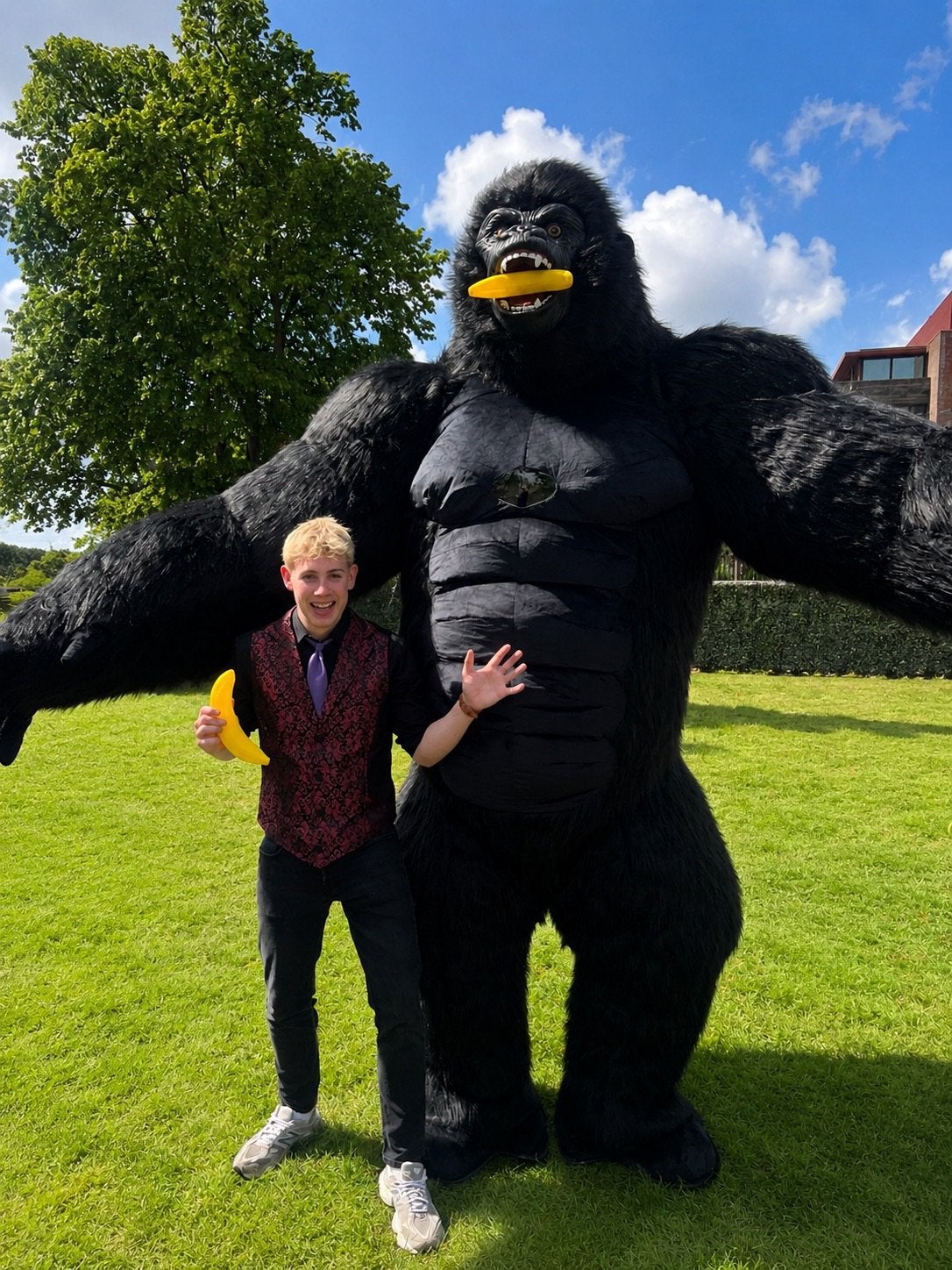 Mega Gorilla Walkaround Act - Hilarisch Opvallend! VERHUUR, Ophalen of Verzenden, Gebruikt, Kostuum, Carnaval