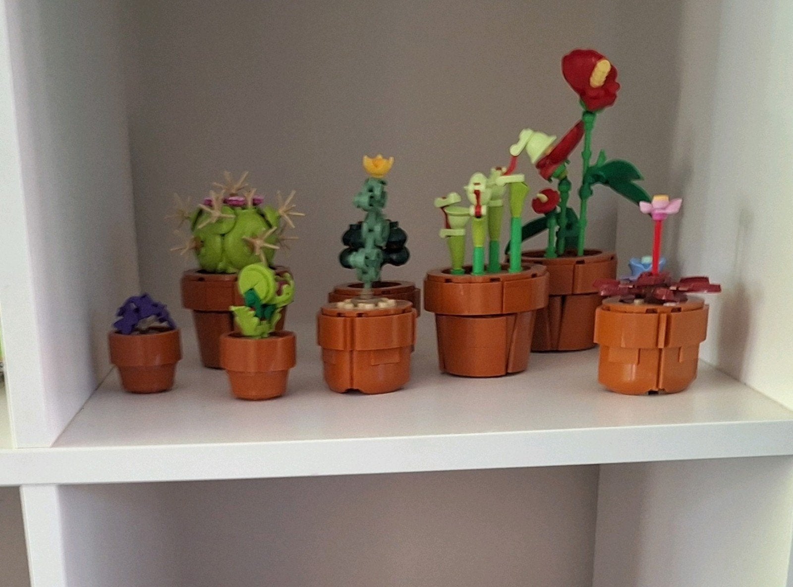Lego Botanicals: diverse cactussen en planten met boekjes, Ophalen of Verzenden, Zo goed als nieuw, Overige merken