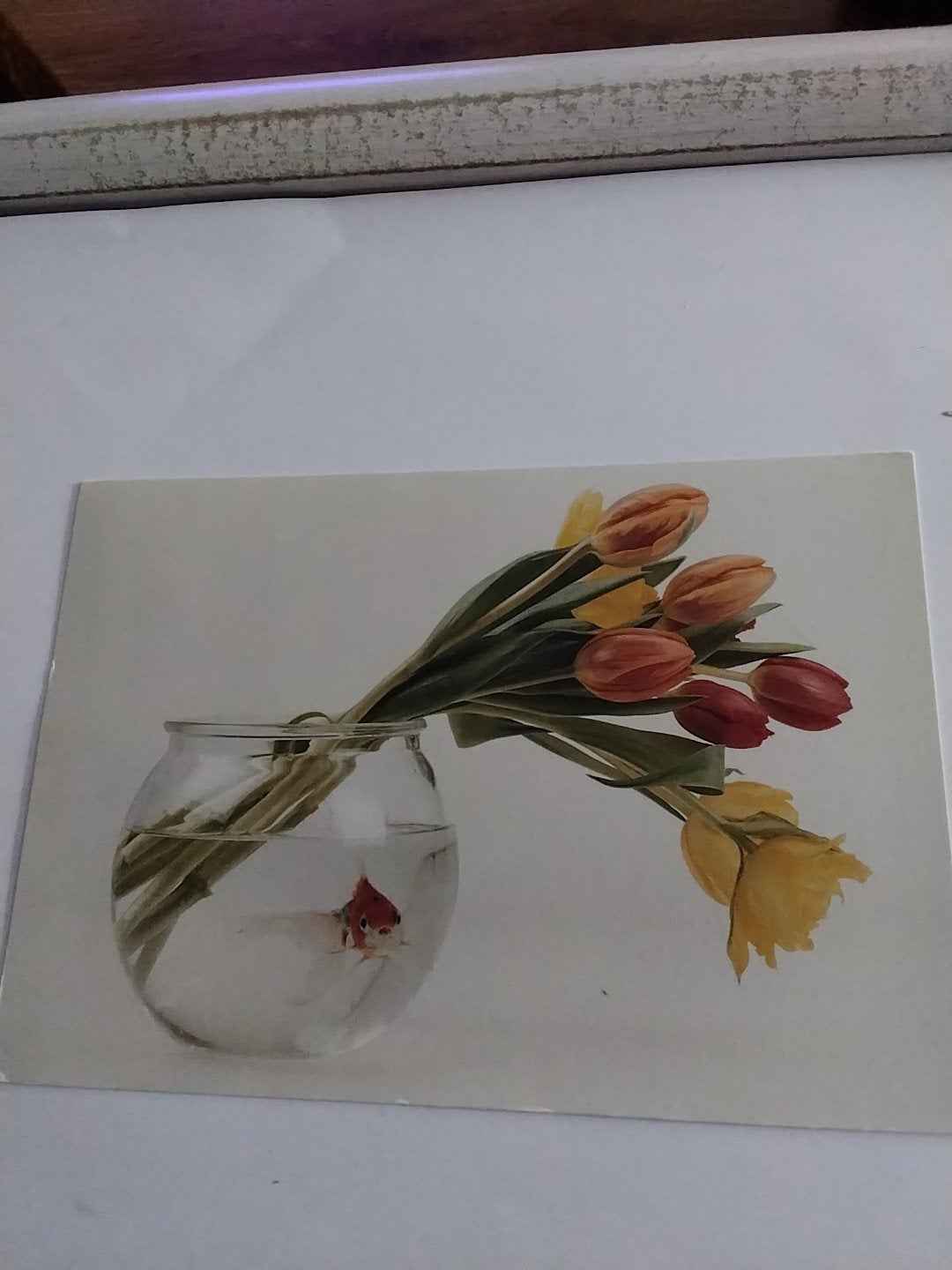 Ansichtkaart: Goudvis in vaas met tulpen,, Ophalen of Verzenden, 1980 tot heden, Ongelopen