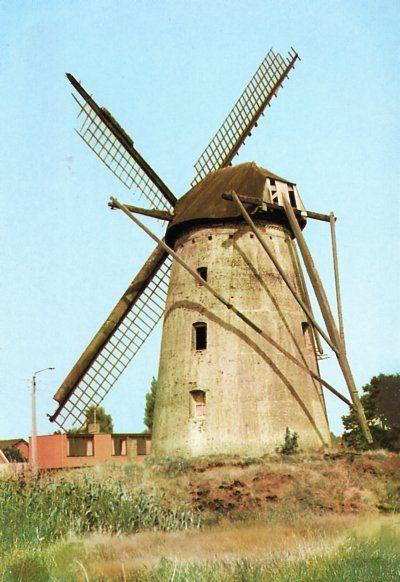 (BG063) Ansichtkaart België molen Overpelt windmolen 1997, Ophalen of Verzenden, 1980 tot heden, Ongelopen, Limburg