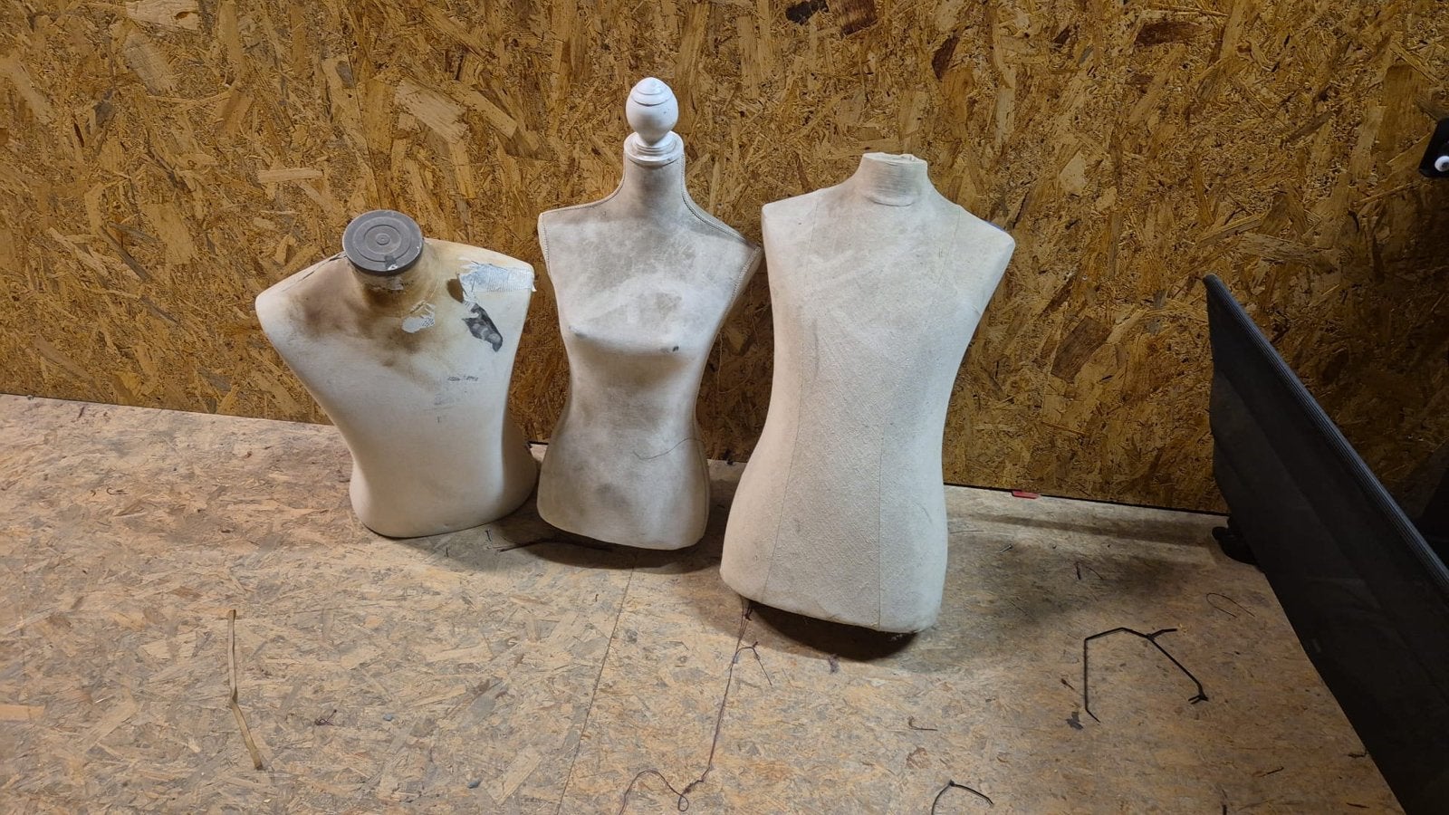 Set van 3 paspoppen/buste voor kledingpresentatie, Kleding | Dames, Ophalen, Gedragen