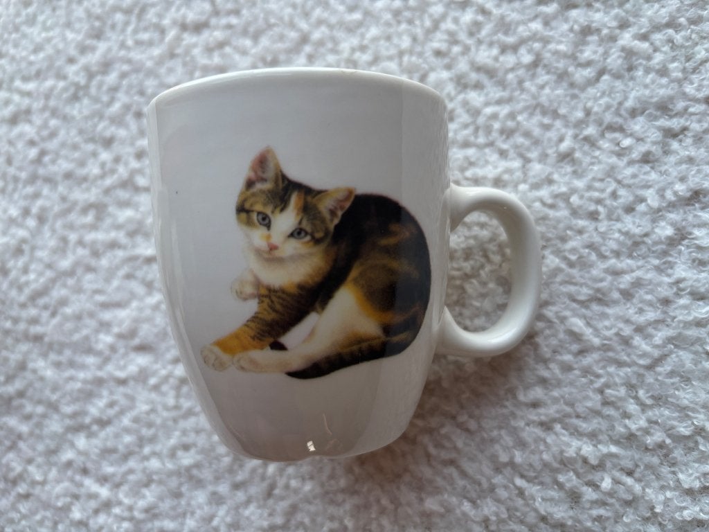 Twee espresso mokken met kattenprint van Francien, Ophalen, Nieuw, Overige stijlen, Kop(pen) en/of Schotel(s)