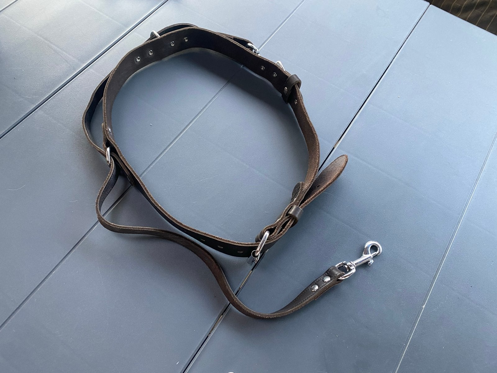 Heup band hondenuitlaat, Ophalen of Verzenden, Zo goed als nieuw, Hondenriem-accessoire