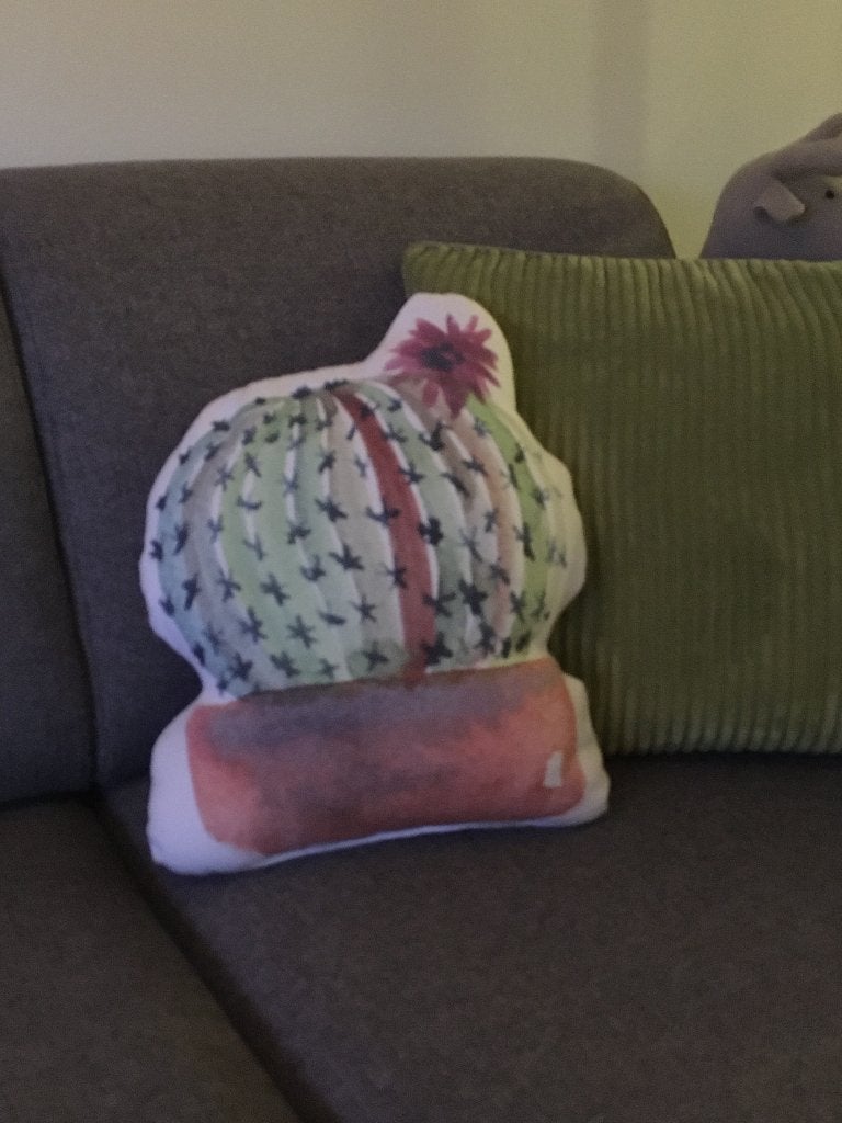 Leuk Cactus kussen – 32 cm hoog, Overige kleuren, Ophalen of Verzenden, Zo goed als nieuw, Sierkussen
