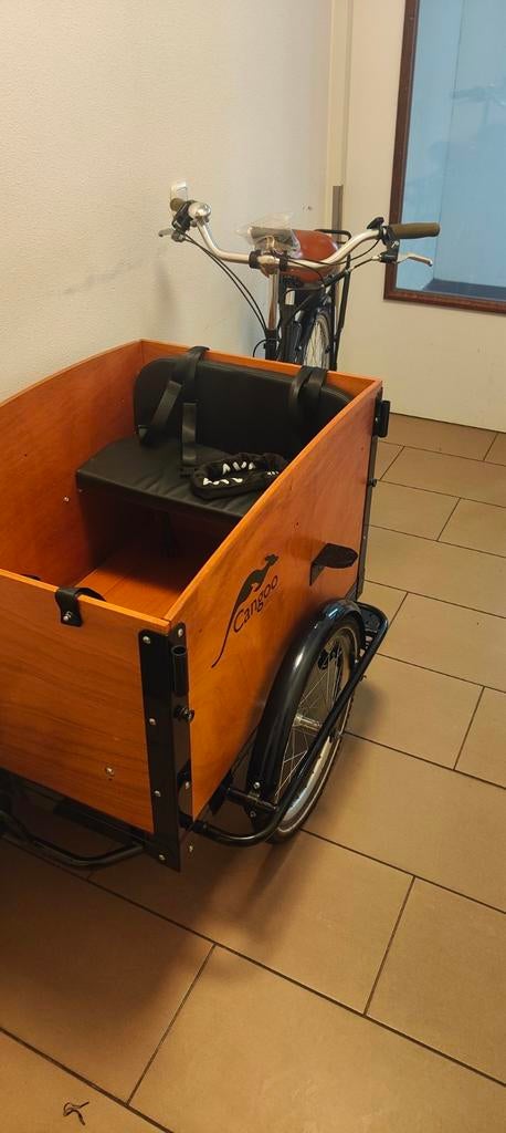 Nieuwe elektrische bakfiets met kussens, regenkap, afdekhoes, 4 kinderen of meer, Huif, Nieuw, Schijfrem