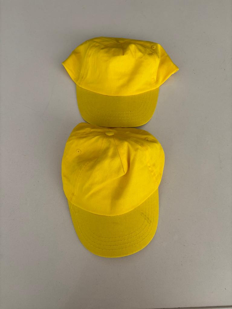 Bullit gele pet cap feniks kids formaat instelbaar 2 st!, Kleding | Dames, Hoeden en Petten, Ophalen of Verzenden, Zo goed als nieuw