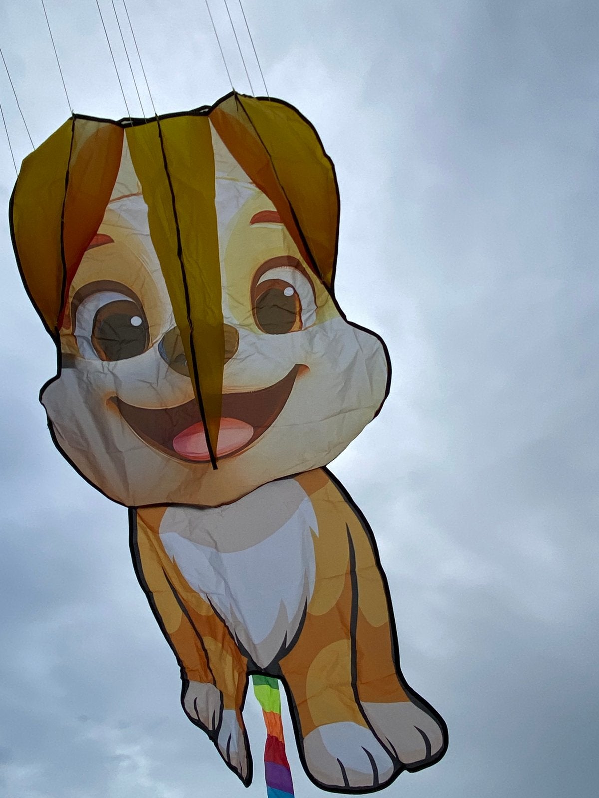 Leuke vlieger hondje (paw patrol) 76x132cm nieuw!, Ophalen of Verzenden, Nieuw, Eenlijns