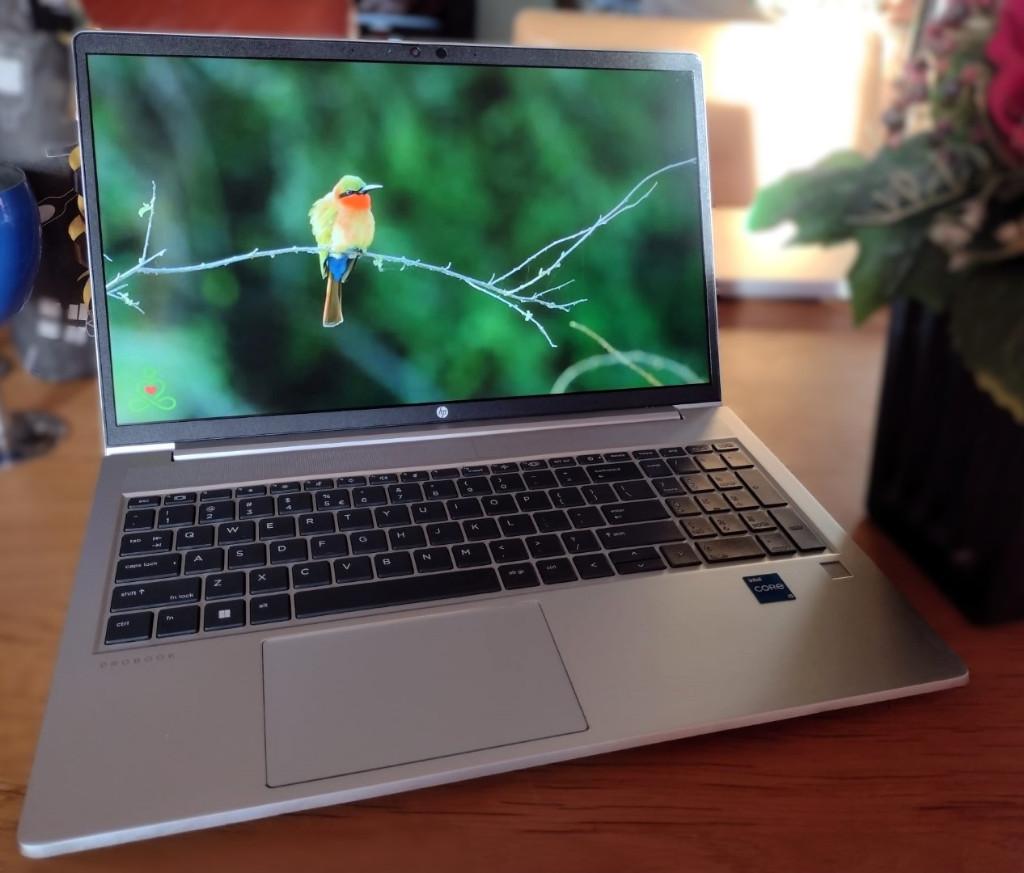 HP Probook 450 G7/G8 15 inch i5 8G 256G SSD W11p, 256 GB, HP ProBook, 8 GB, Ophalen of Verzenden