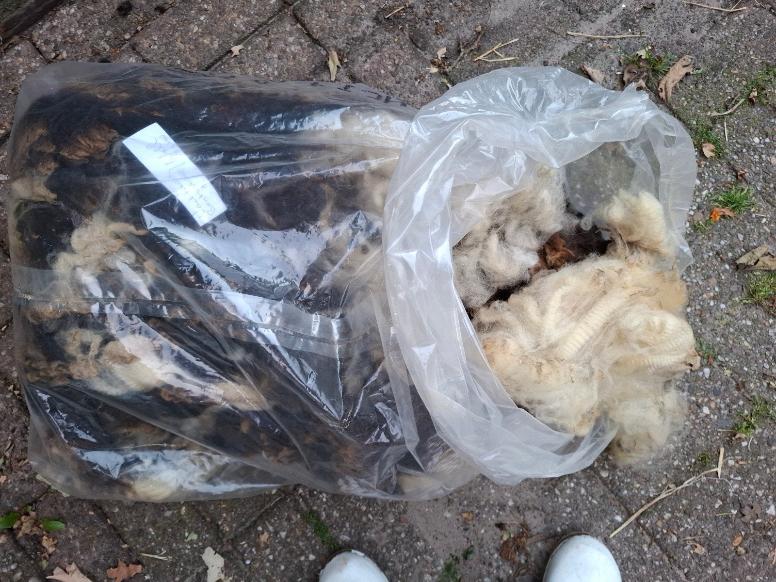 Bonte wol voor spinnen,  met de lokken van Wallische Schwarz, Ophalen of Verzenden, Nieuw, Spinwol