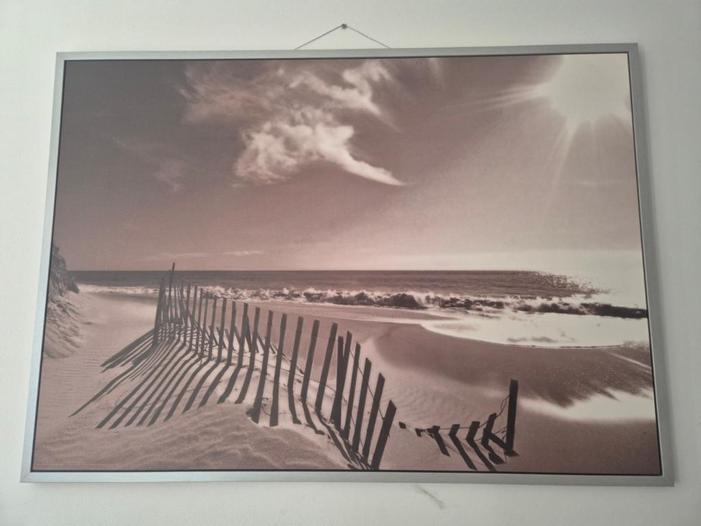 Grote Foto Poster Schilderij in lijst 100x140 cm, Ophalen, Gebruikt, 50 tot 75 cm, 75 tot 100 cm