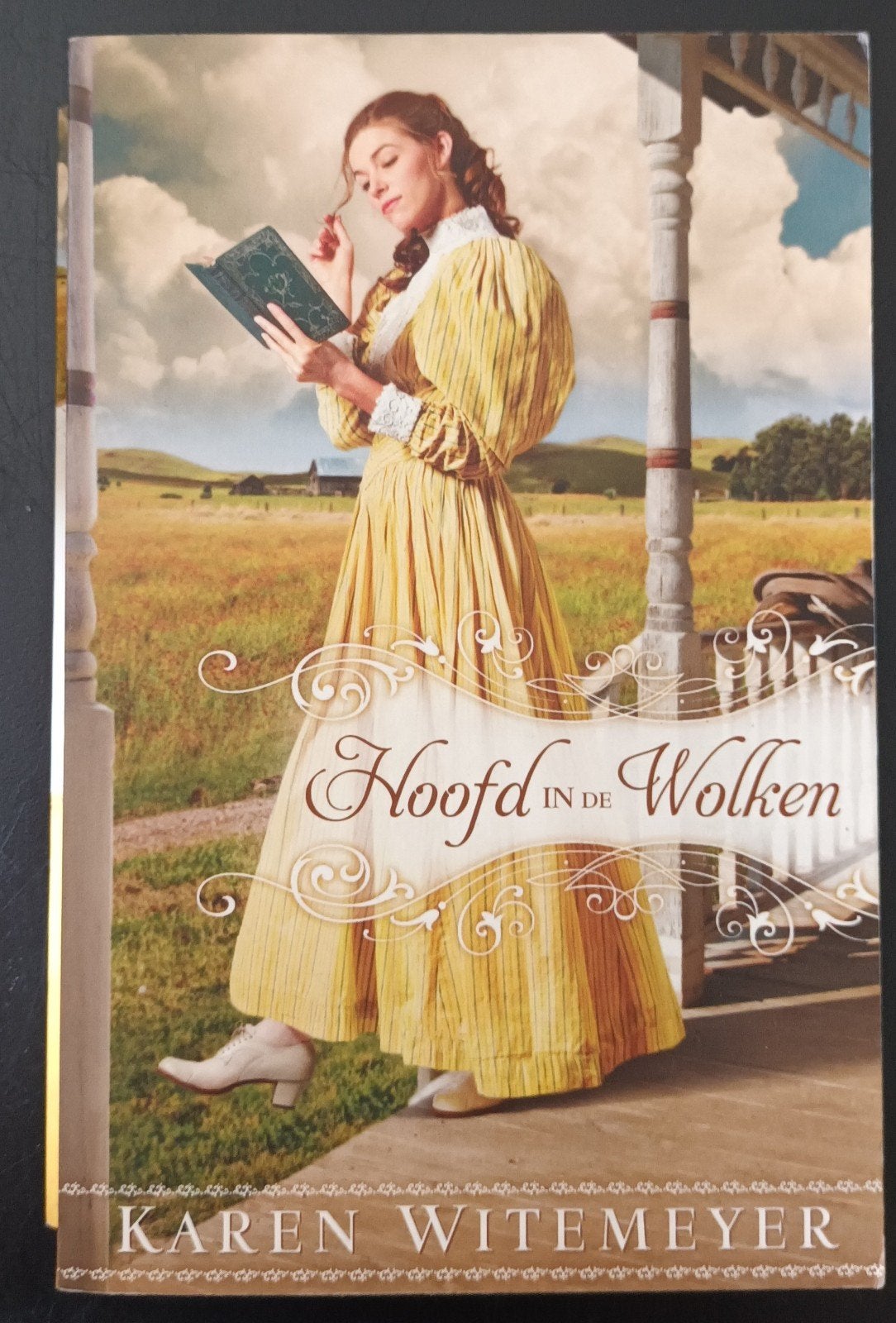 Hoofd in de wolken. Karen Witemeyer, Boeken, Ophalen of Verzenden, Zo goed als nieuw