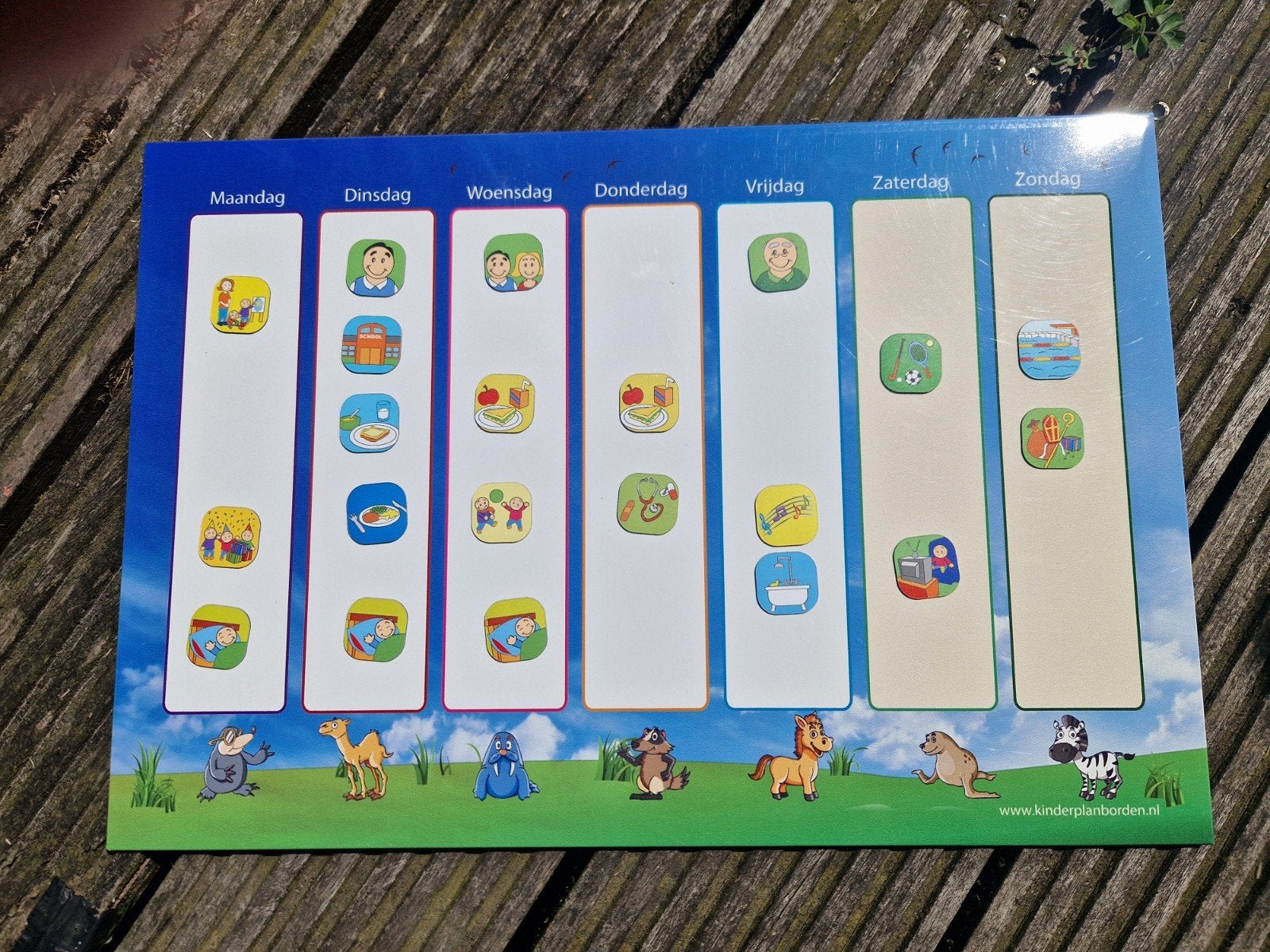 Kinderplanbord met magneetjes - Dagritmekaarten, Ophalen of Verzenden, Gebruikt, Overige typen