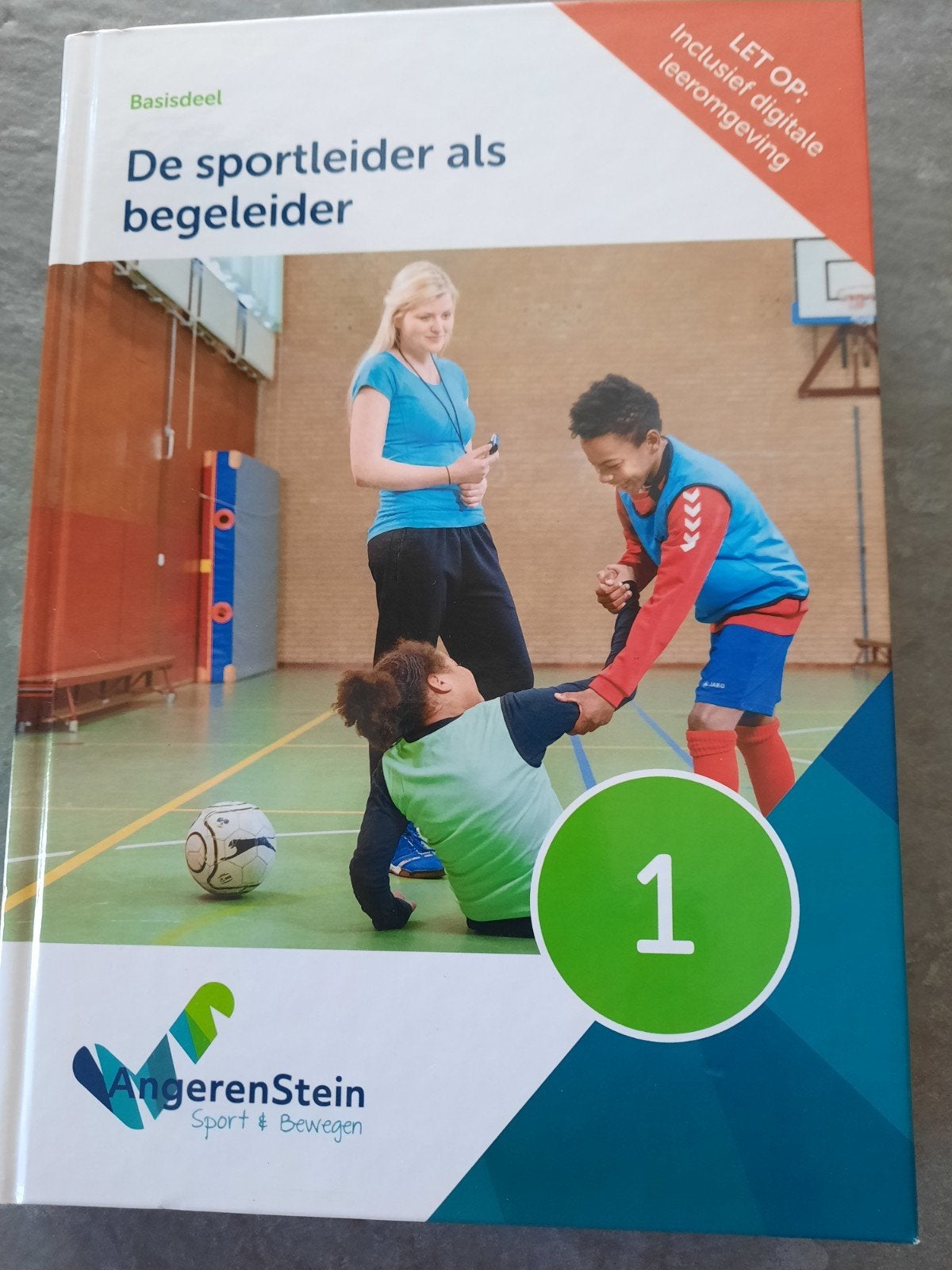 Titel De sportleider als begeleider
AngerenStein Sport&beweg, Ophalen of Verzenden, Beta, Zo goed als nieuw, MBO
