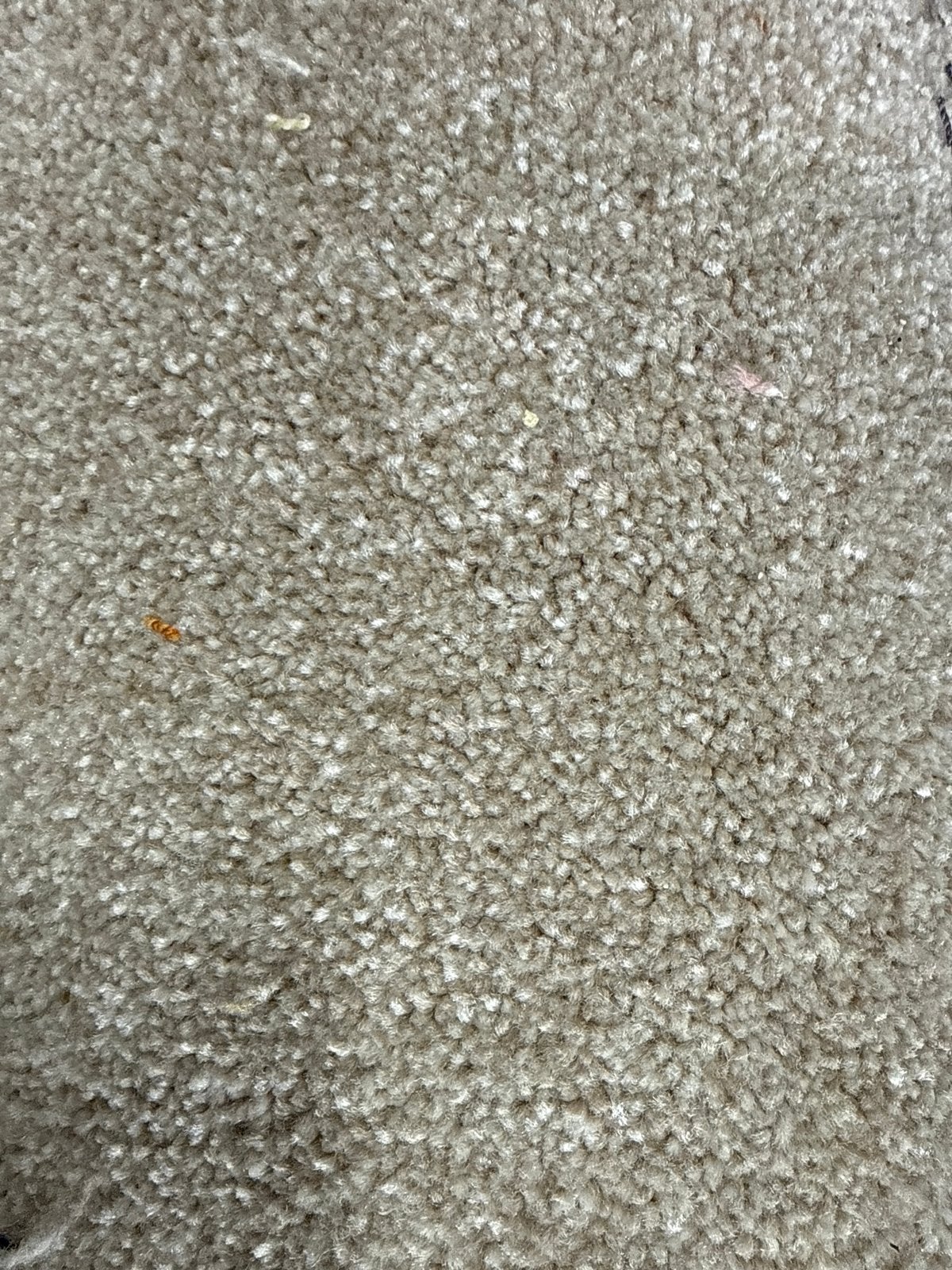 Op=op actie: Coupon beige tapijt op rol 2,10x2,60m, Ophalen of Verzenden, Nieuw, Beige