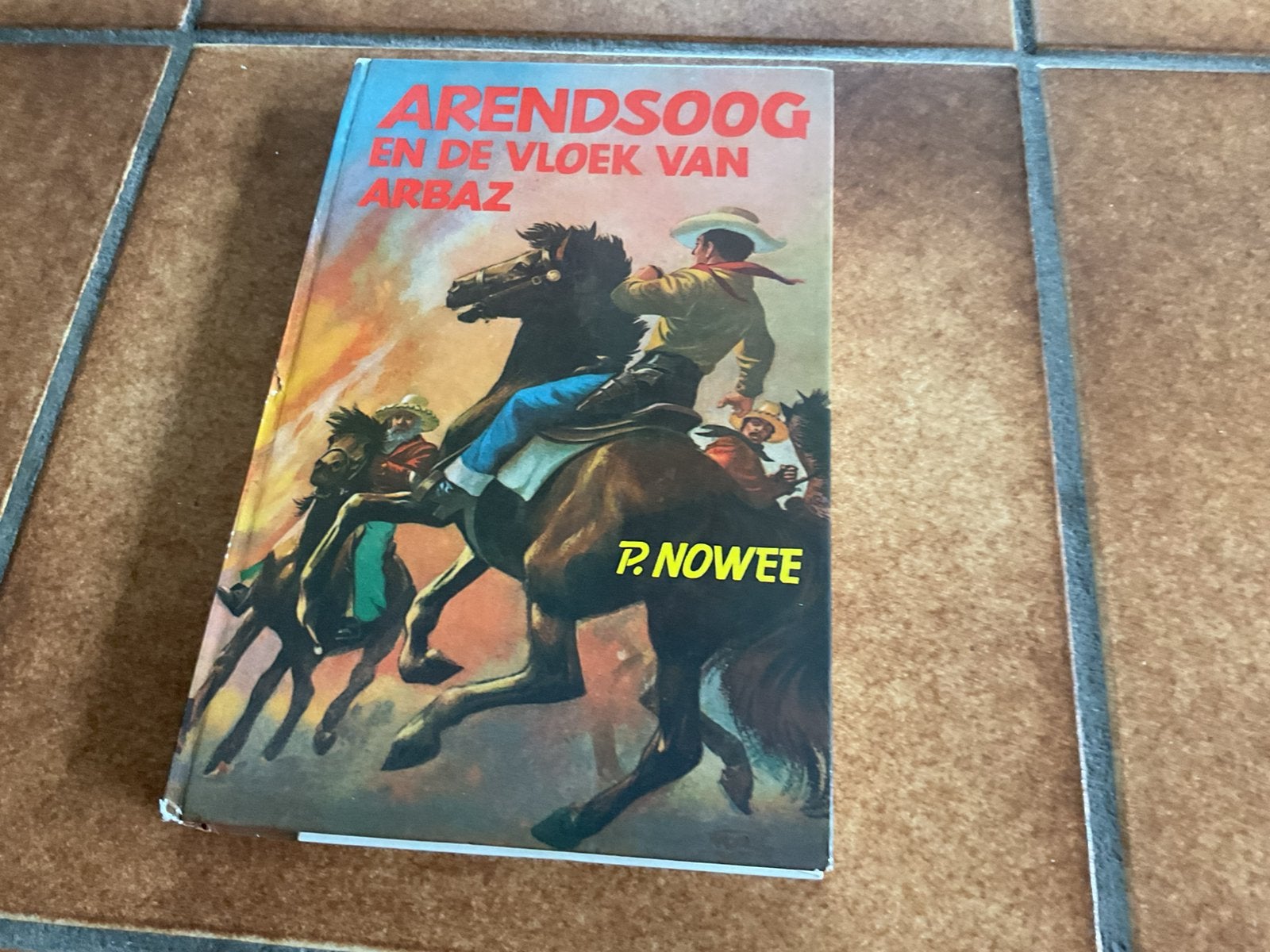 Arendsoog boek, Boeken, Ophalen of Verzenden, Zo goed als nieuw