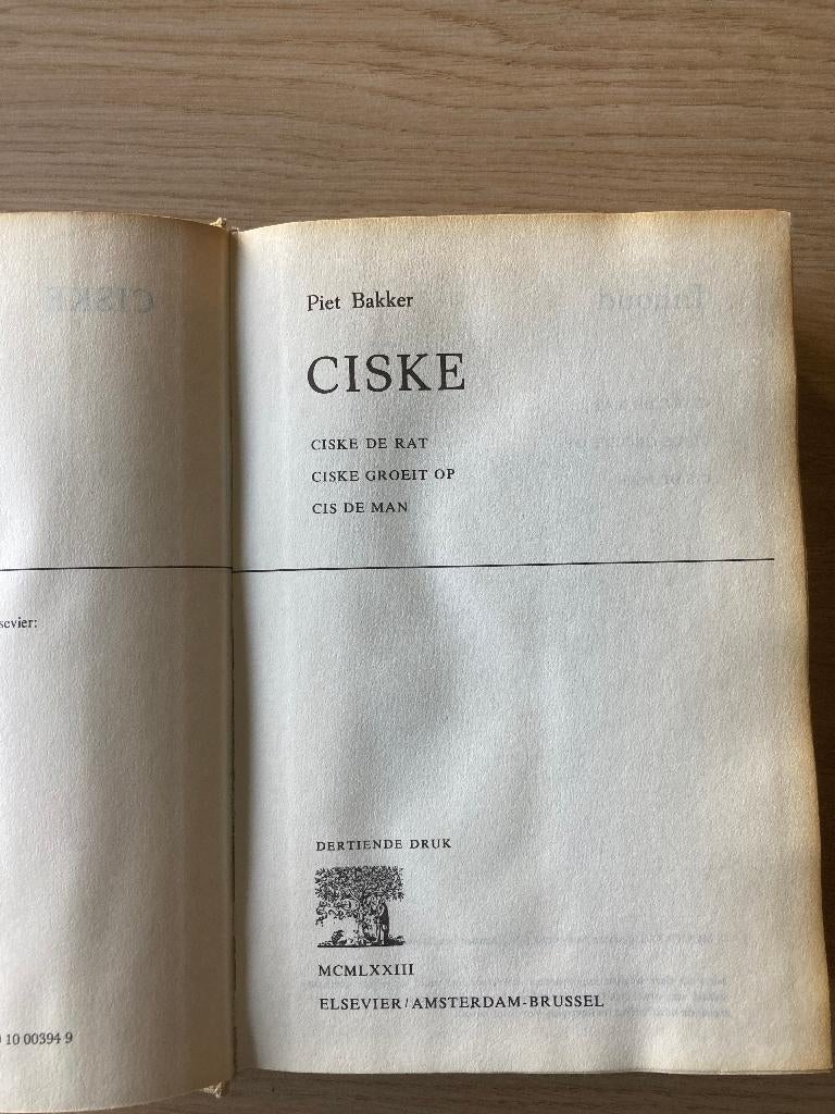 Boek Piet Bakker, Ophalen of Verzenden, Gelezen