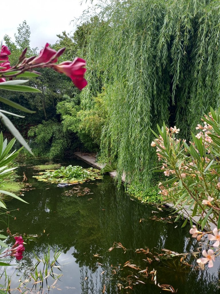 EPDM Vijverfolie gebruikt, Tuin en Terras, Ophalen, Gebruikt